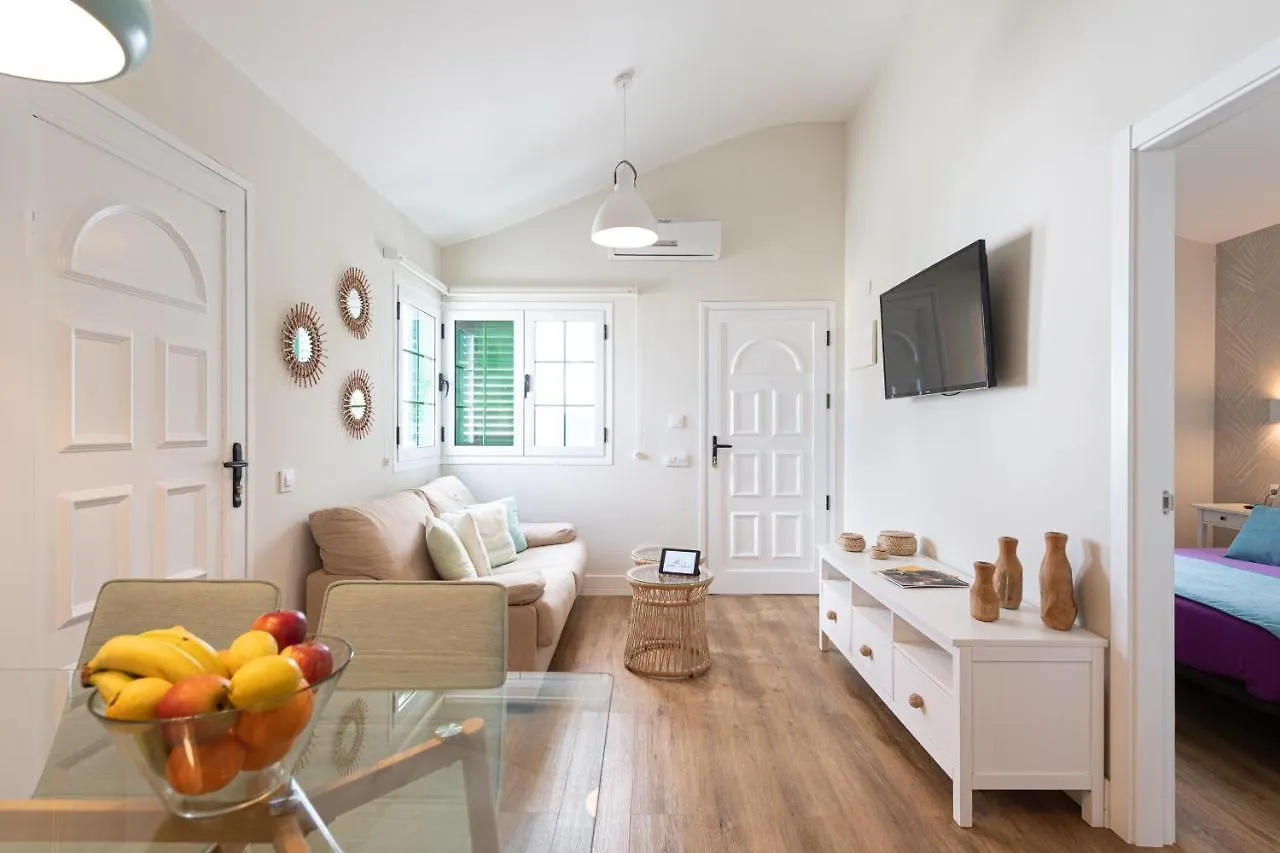 Homeforguest Modern And New Beachfront Apartment La Oliva
